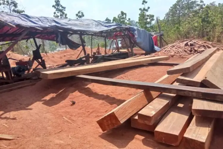 PoJK: Massive timber smuggling network exposed in Neelum valley