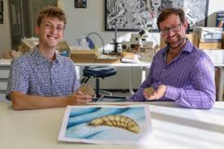 New fossils may help explain the Furongian gap in Earth's life history