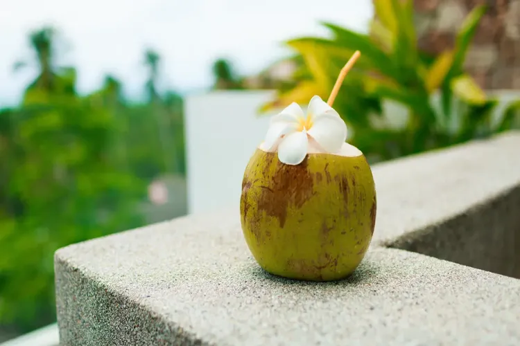 3 Major Benefits of Drinking Coconut Water on an Empty Stomach in the Morning