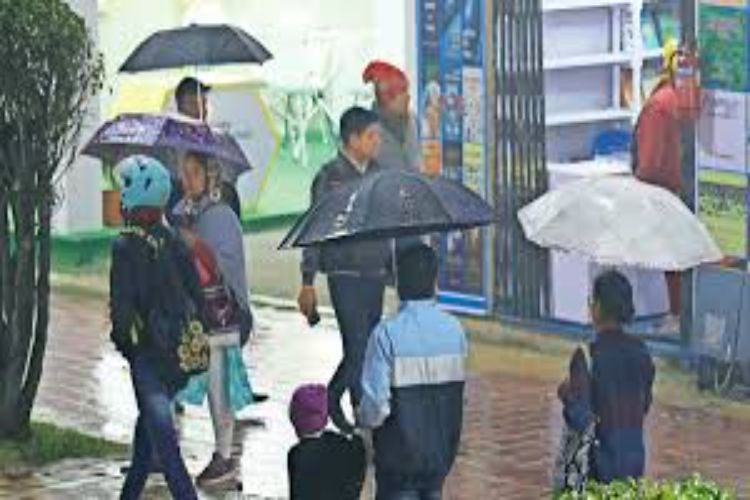 Rain lashes several parts of Punjab, bringing relief from scorching heat