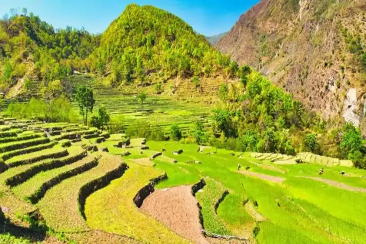 Centre announces Rs 583 crore push for Sikkim's organic, infrastructure growth