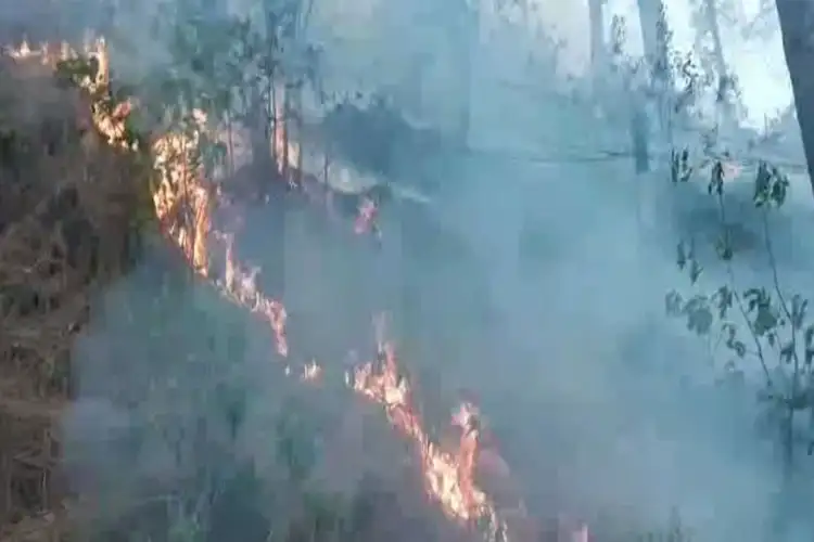 45 forest fire incidents reported in Rajouri over 12 weeks; meeting held to curb blaze
