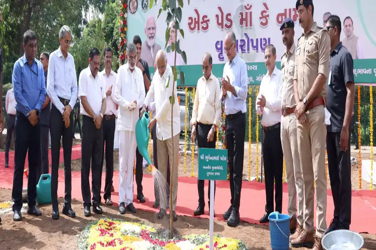 Gandhinagar: Gujarat CM Bhupendra Patel plants sapling under 'Ek Ped Maa ke Naam' initiative