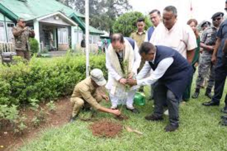 Modi's 'One Tree in the Name of Mother' initiative has made tree plantation a mass movement: Nadda