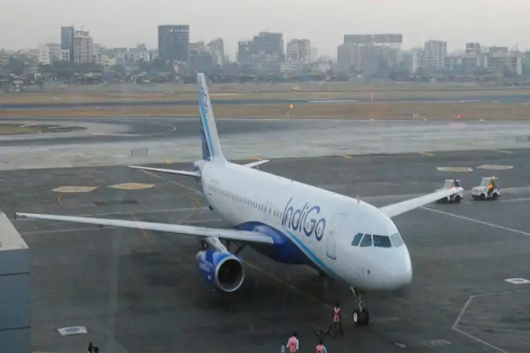 Bird hit delays IndiGo flight from Bengaluru to Mumbai for over an hour