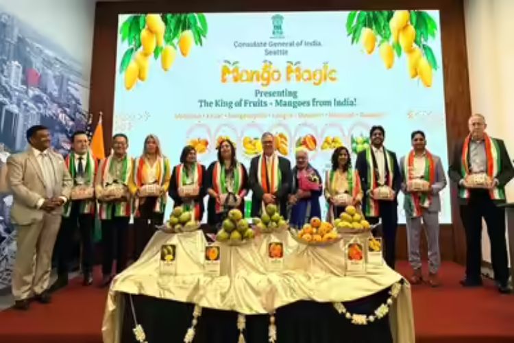  the Indian Consulate introduces seven excellent varieties of mangoes.
