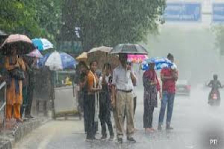 Tamil Nadu: Meteorological Department forecasts heavy rain in 10 districts