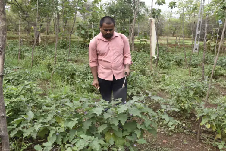 'Pradhan Mantri Kisan Samman Nidhi Yojana' becomes an economic lifeline for 69 lakh farmer families in Gujarat