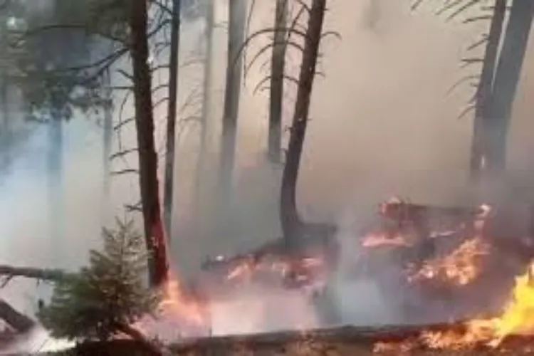 Amidst scorching heat and drought, fires have broken out in several forests of Rajouri; the Forest Department is on alert.