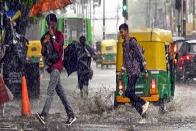 Light to heavy rain forecast in Kerala, 'Orange alert' in two districts