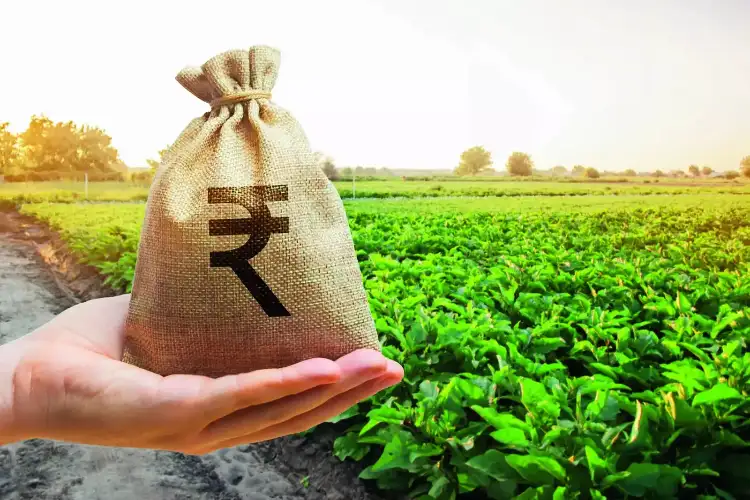 Farm credit demand likely to stay strong in FY27 on higher input costs, agri investments: NABARD