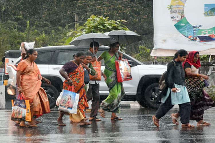 Rain in many areas of Rajasthan, bringing relief from heat