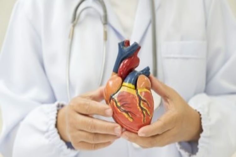 Doctors warn: Rising obesity burden is increasing the 'heart age' of Indians