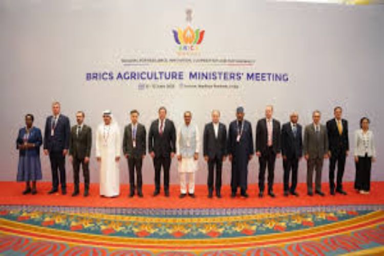 Joint declarations on farmers' rights, digital agriculture and food security at the BRICS meeting