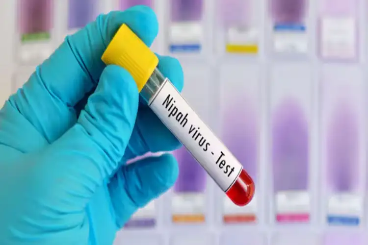 Kerala Nipah case: Second healthcare worker tests negative; patient remains on ventilator support