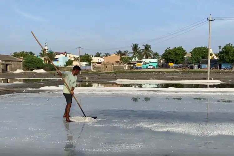 Tamil Nadu: Salt pan workers in Thoothukudi seek hike in monsoon relief from Rs 5,000 to Rs 10,000