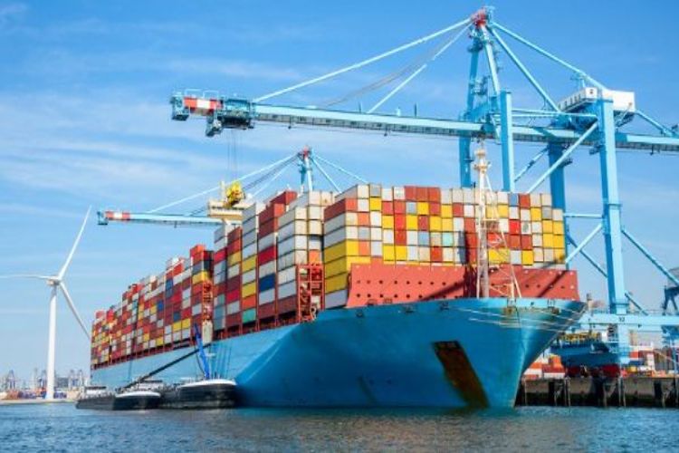 Increasing participation in global value chains: Experts