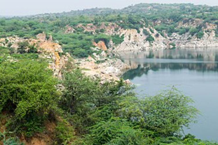 the number of snakes and reptiles increases in Asola Bhati Sanctuary.