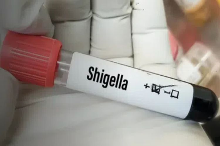 Kerala has reported 146 Shigella cases and five deaths since January: Health Minister