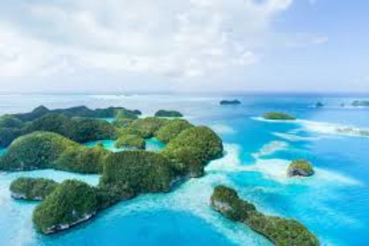 Campaign to conserve 30 percent of the ocean by 2030