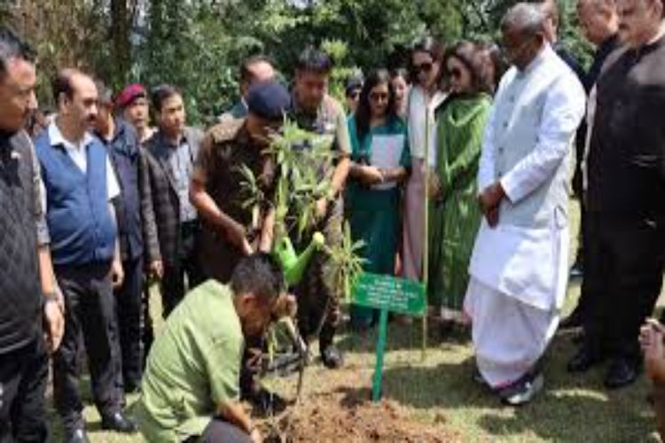 Union Minister lauds Sikkim's tree plantation plan