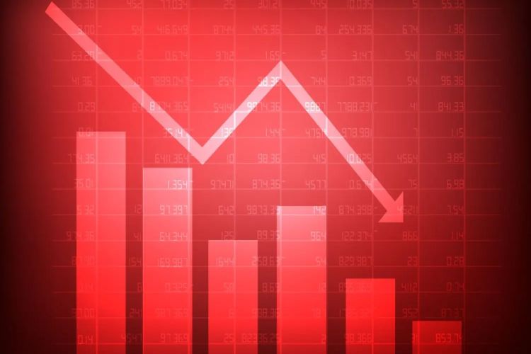 Domestic stock markets rise after initial decline