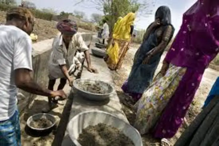 Rural wage growth accelerates amid stronger farm activity, labour demand: Report