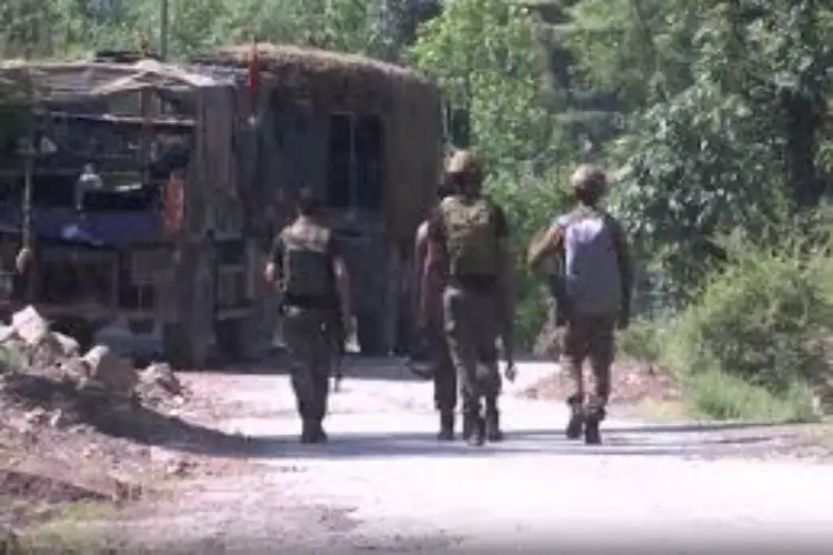 J-K: 'Operation Sheruwali' enters Day 29 in Rajouri forests, search and cordon operation continues