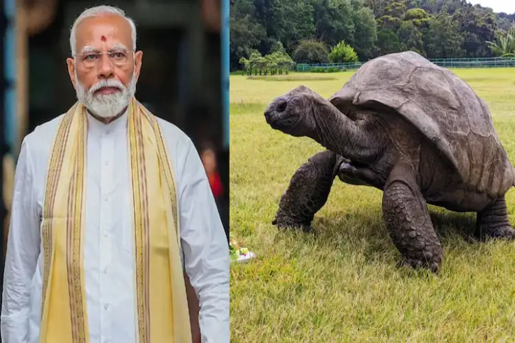 PM Modi to meet 194-year-old tortoise ‘Jonathan’ in Seychelles