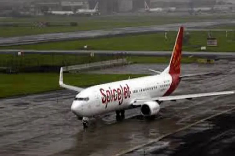 SpiceJet plane's tyre bursts while landing at Darbhanga airport