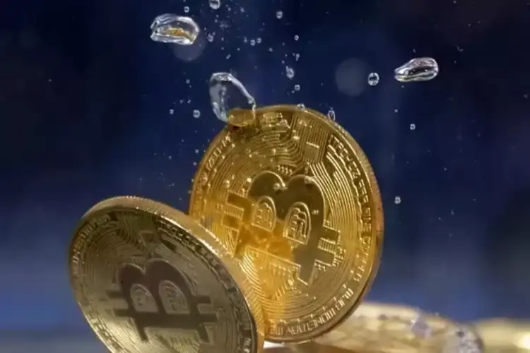 Parliamentary panel holds meeting on virtual digital assets ecosystem; RBI, ICAI reps attend