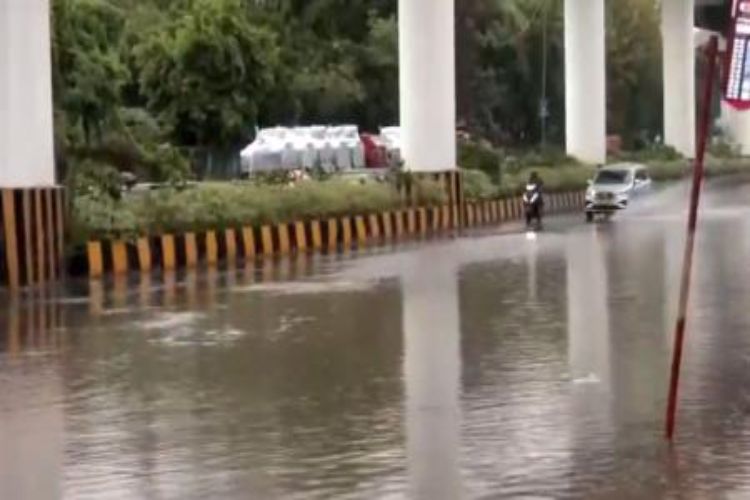 Several areas in Mumbai received over 100 mm of rain in 24 hours.