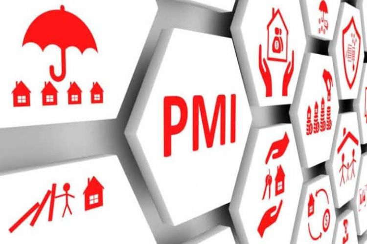 17-month low on subdued domestic demand: PMI