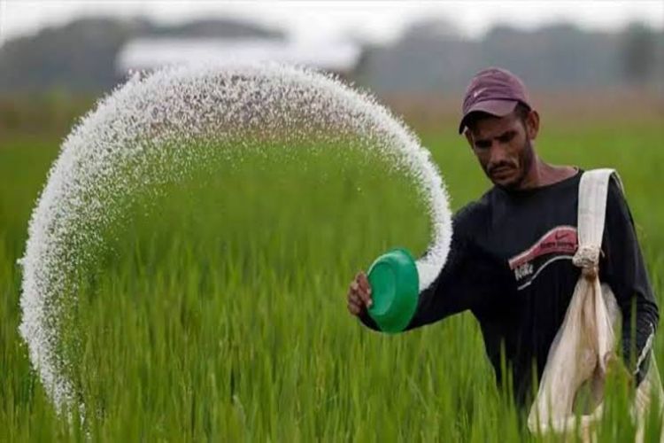 IMMA expresses concern over forced fertiliser tagging