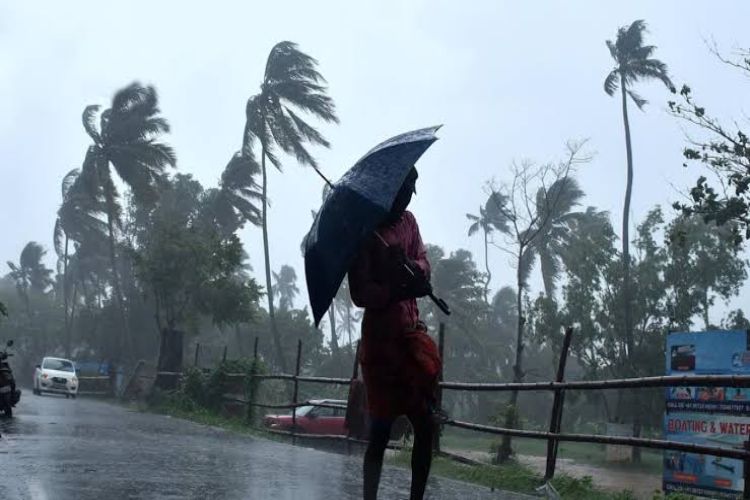 Torrential rain wreaks havoc in Kerala, yellow alert issued in 11 districts