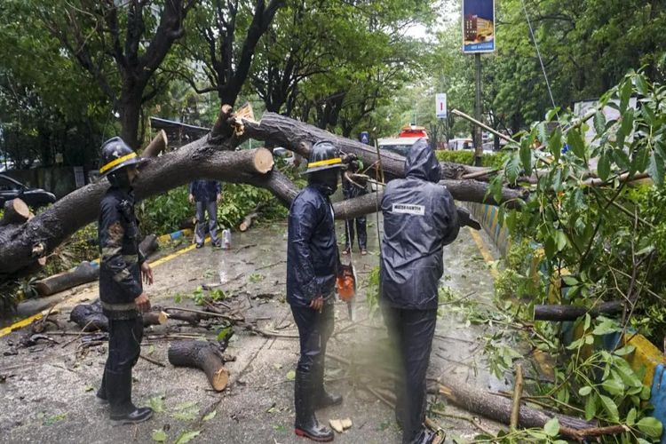 Maharashtra Legislative Council adjourned; Minister says 13 people died in rain-related incidents