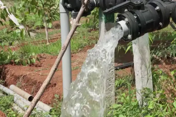 'Catch the Rain' Campaign: Irrigation System Strengthened in Gujarat