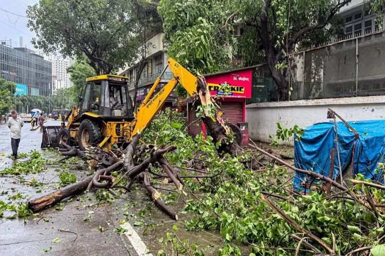 Maharashtra: Opposition targets government over infrastructure failure amid heavy rains