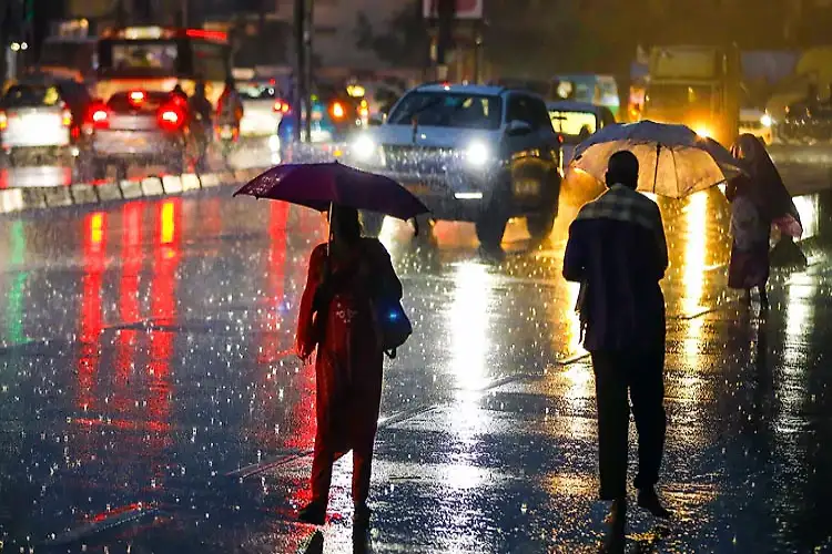 Karnataka: Holiday declared for schools, colleges in Shivmogga's Hosanagara Taluk amid incessant rain