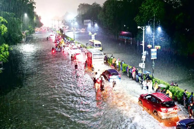 Monsoon advances in Rajasthan, heavy rains at many places