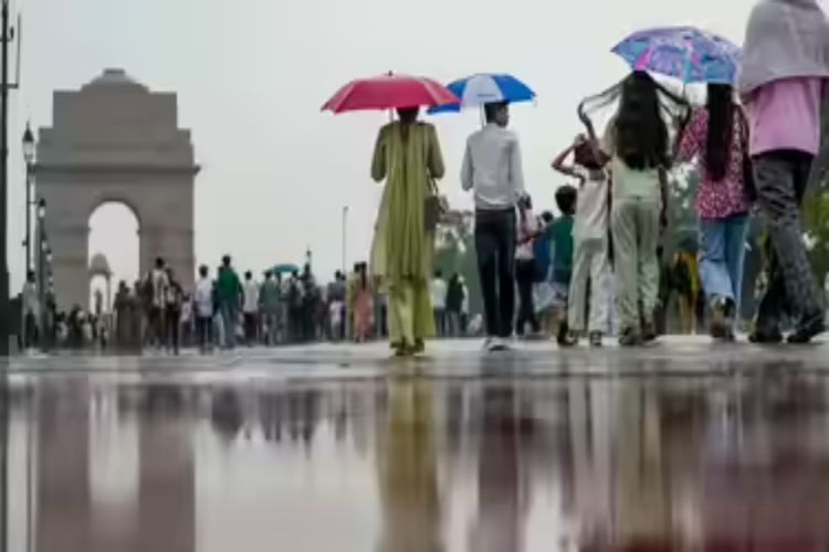 Rain lashes parts of Delhi, IMD issues 'yellow' alert
