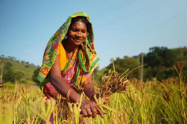 LongStraw Carbon Brings Climate Action and Rural Employment Together in Odisha's Tribal Heartland