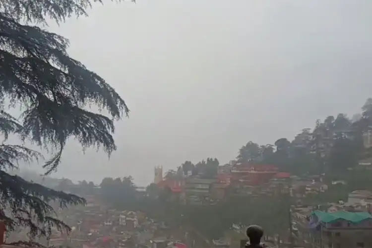 Fresh spells of rain disrupt normal life across Himachal Pradesh; yellow alert issued for next five days