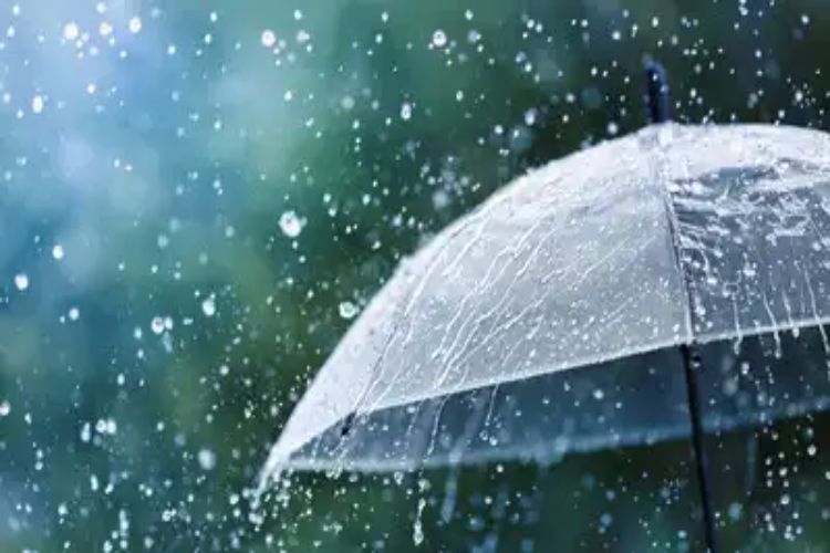 Himachal Pradesh: All educational institutions closed in Sirmaur and Solan amid heavy rains