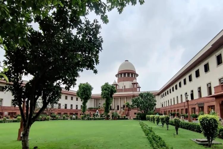 Petitioner removed from Supreme Court courtroom for indecent behaviour during hearing