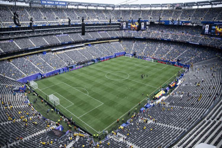 FIFA to sell pieces of World Cup final pitch for $450