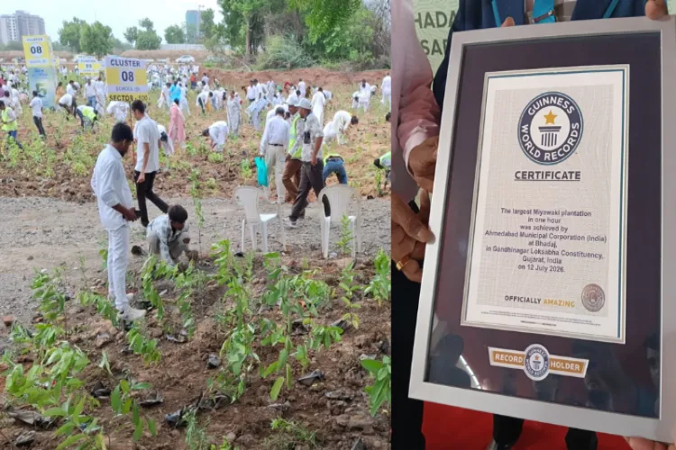 Ahmedabad planted 3.61 lakh saplings in one hour, setting a world record.