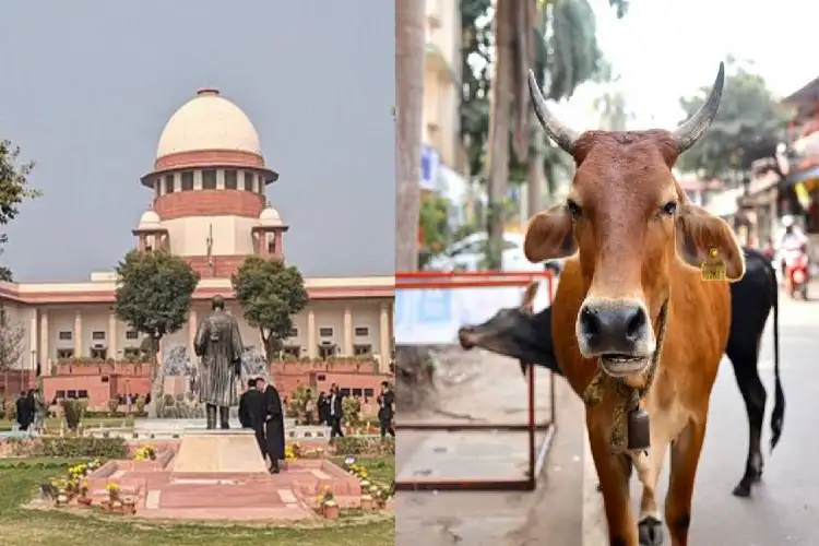 SC stays Madras HC ban on cow slaughter in Tamil Nadu