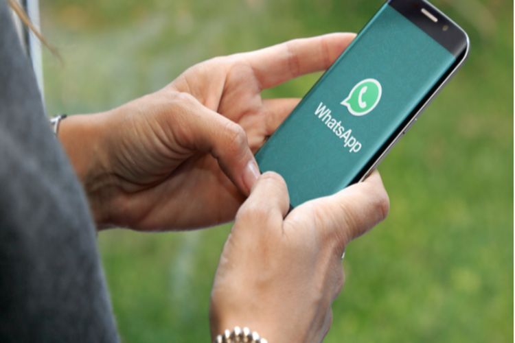 Responses received from WhatsApp, other platforms on 'username feature' issue: IT Secretary Krishnan