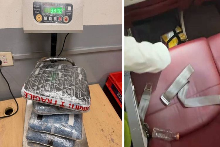 Over six kilograms of 'hydroponic' marijuana recovered from passenger at Delhi airport